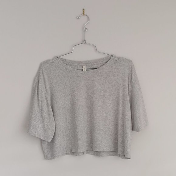 Aritzia Tops - Aritzia Grey Crop Top - Tshirt